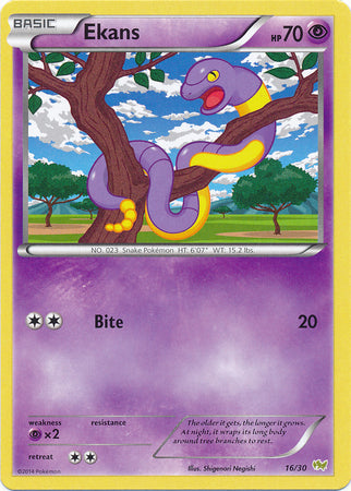 Ekans - 16/30 - [XY Trainer Kit (Noivern)] [Non-Holo]