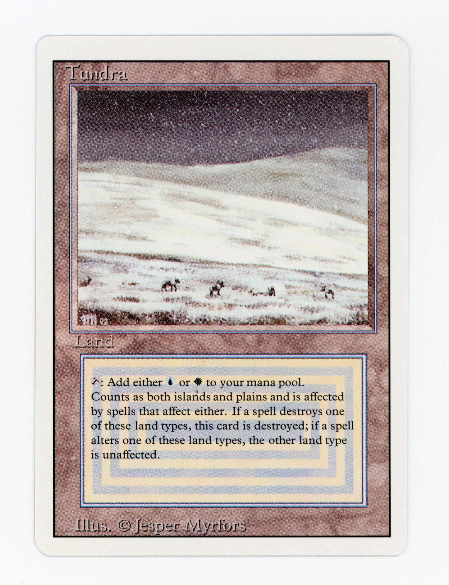 Tundra — ID 19373