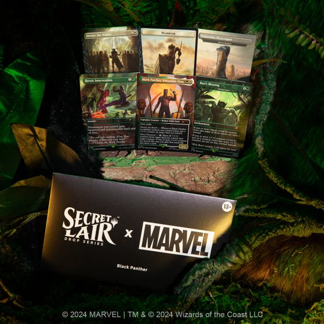 SEA-SLD-MTG-BLACK_PANTHER