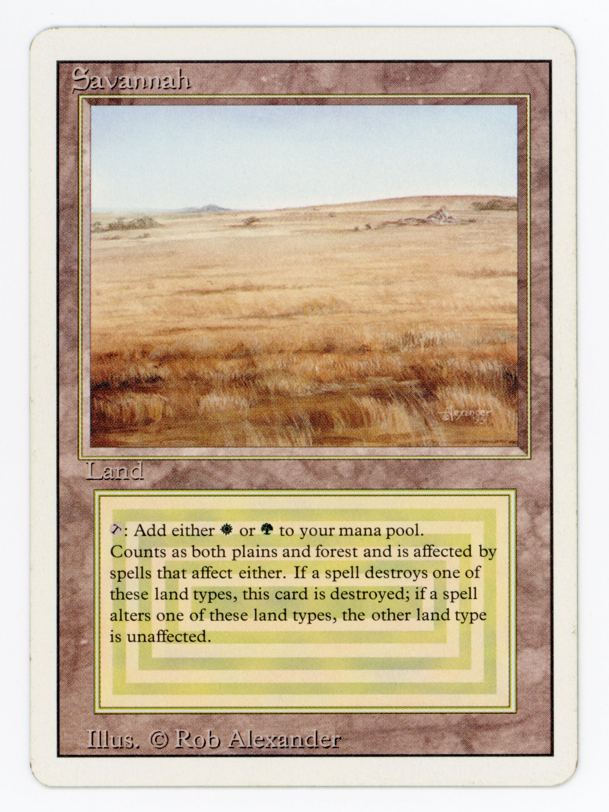 SIN-SCAN-13300