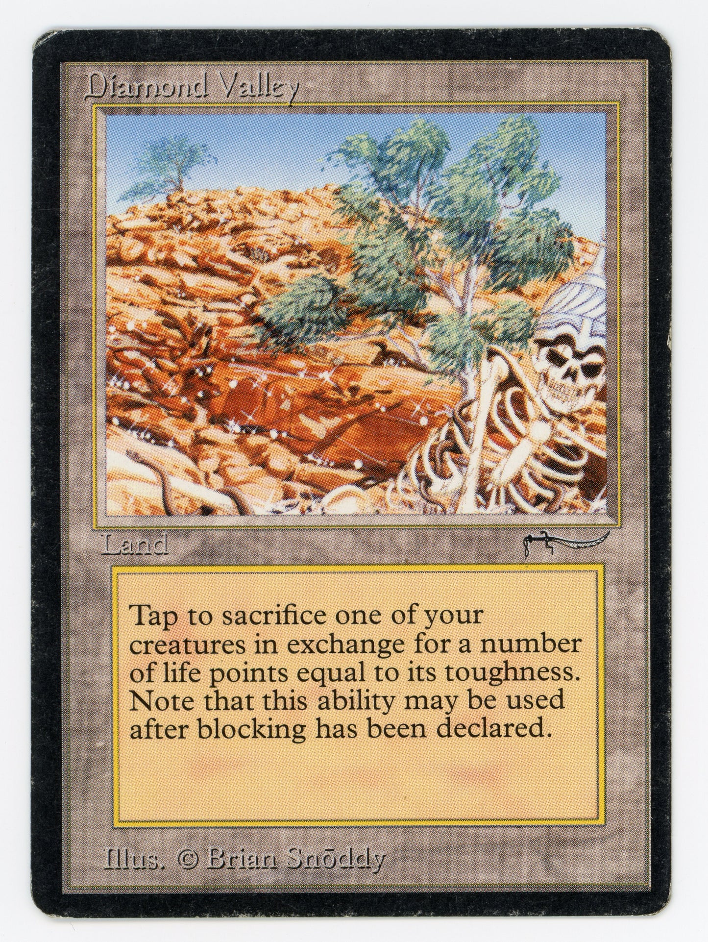 SIN-SCAN-13787