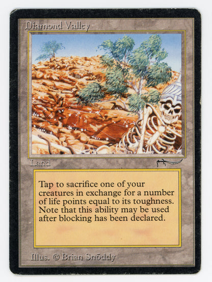 SIN-SCAN-13787