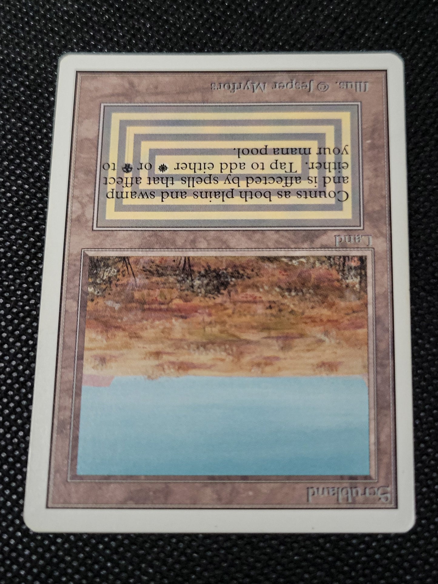 Scrubland — ID 16947