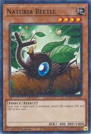 Naturia Beetle - HAC1-EN093 - Duel Terminal Normal Parallel Rare - 1st Edition