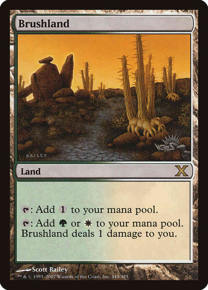 Brushland [349] [Tenth Edition] [Non-Foil]
