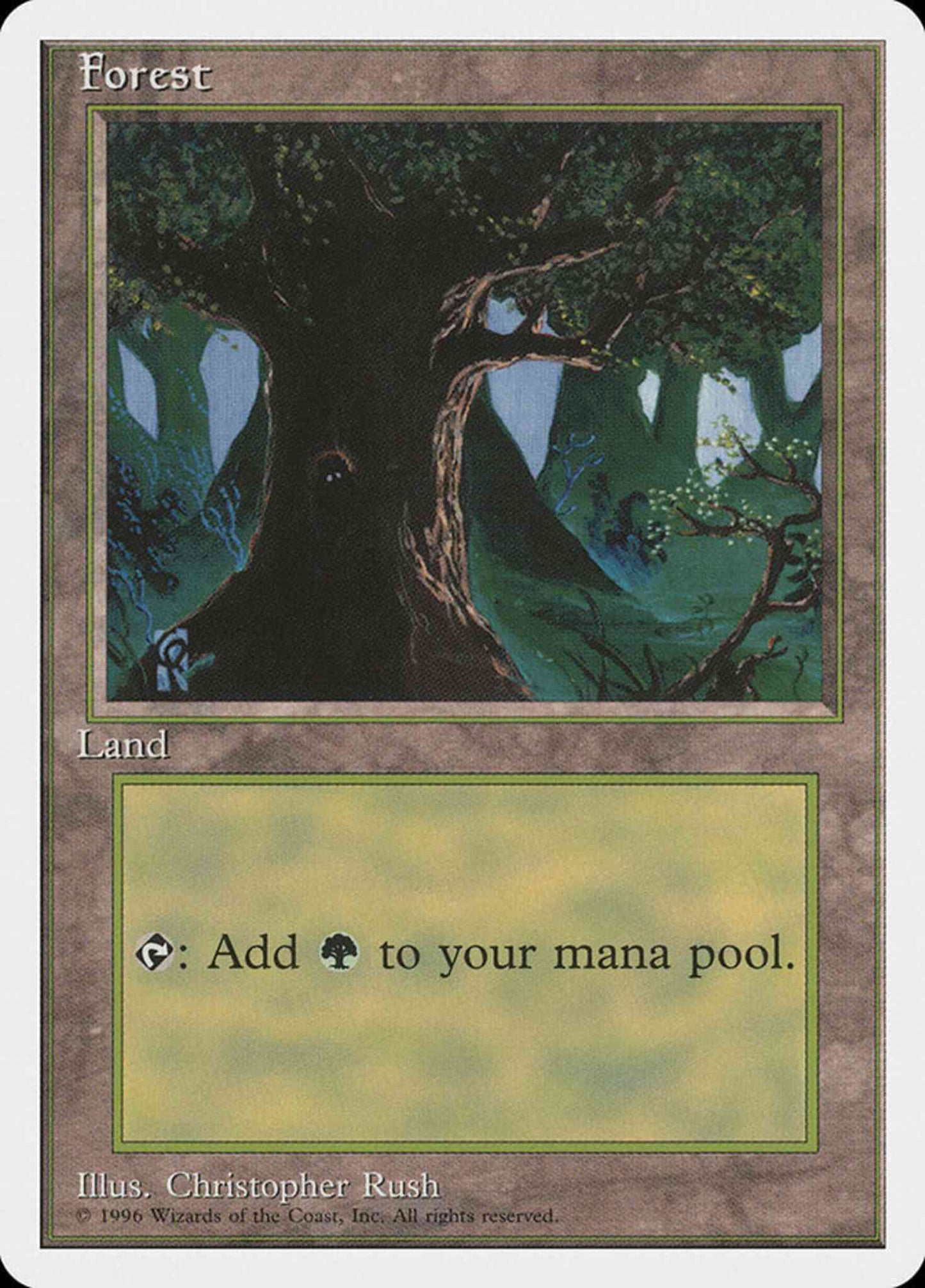 Forest [67] [Introductory Two Player Set] [Non-Foil]