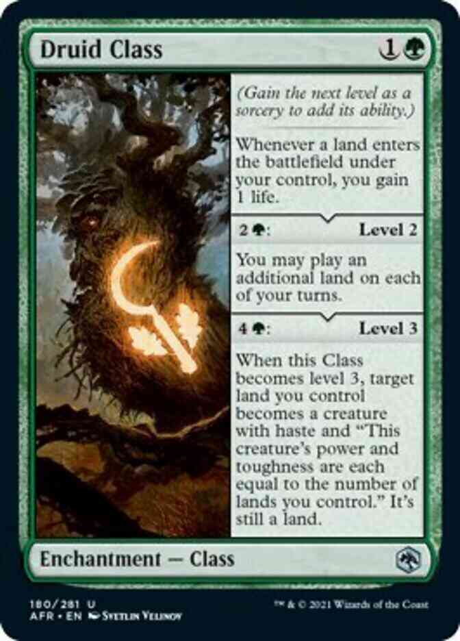 Druid Class [180] [Adventures in the Forgotten Realms] [Non-Foil]