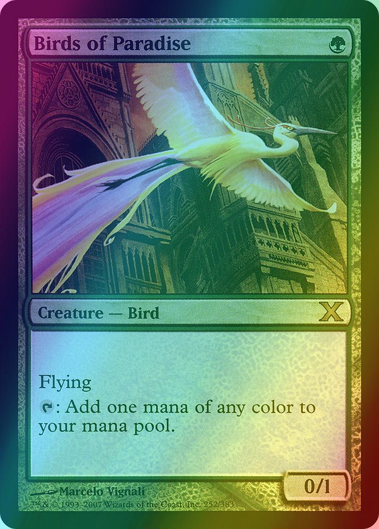 Birds of Paradise [252] [Tenth Edition] [Foil]