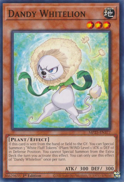 Dandy Whitelion - MP25-EN377 - Common - 1st Edition