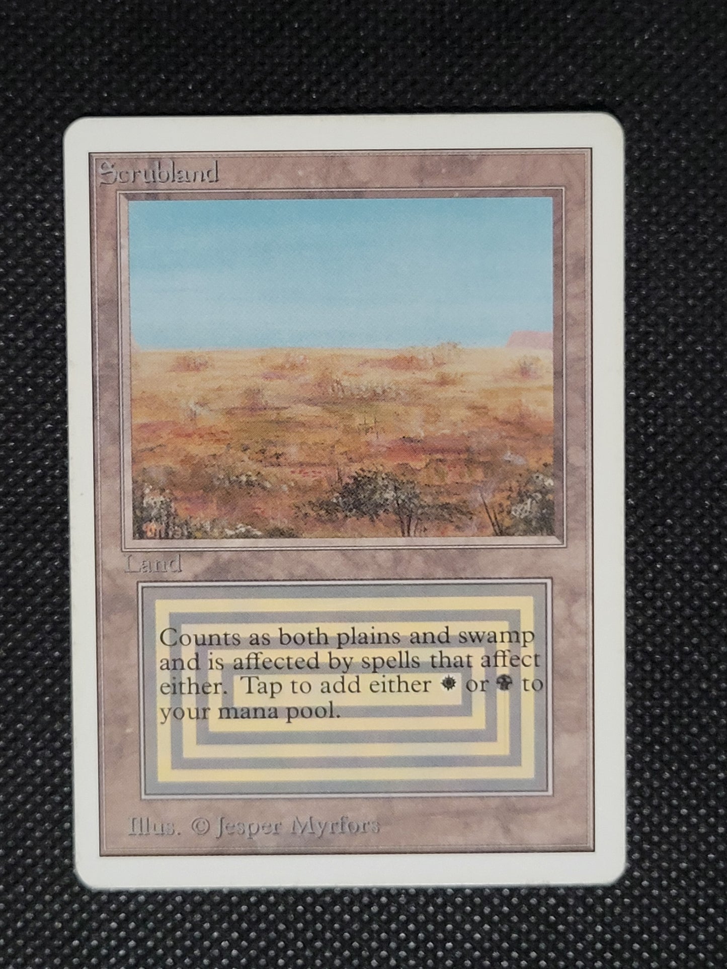 Scrubland — ID 19603