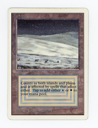 SIN-SCAN-16974
