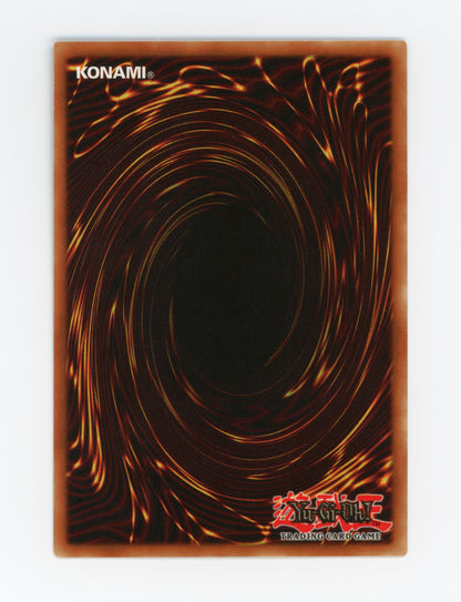 Curse of Dragon — Super Rare|1st Edition — ID 18211
