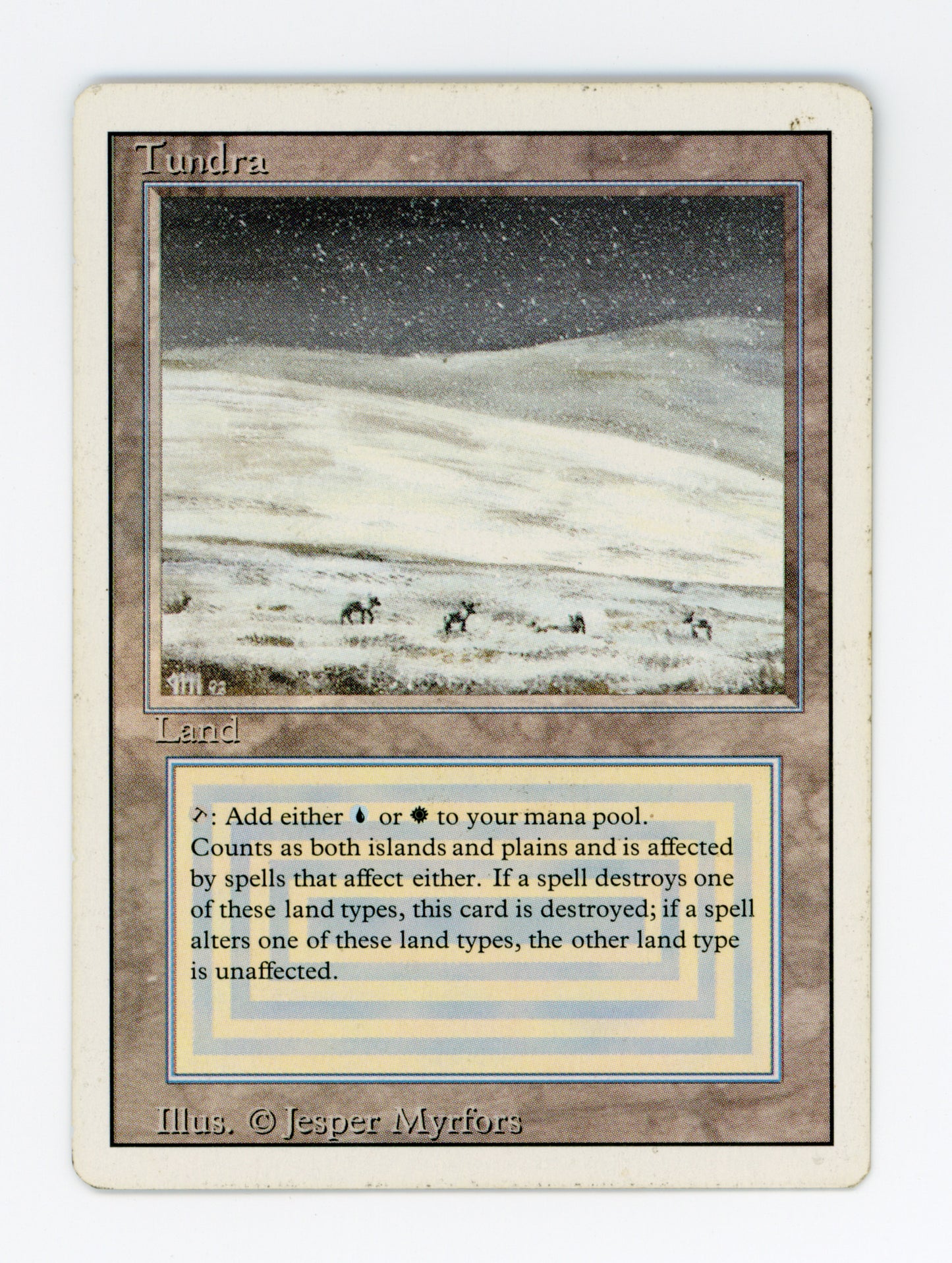 Tundra — ID 19561