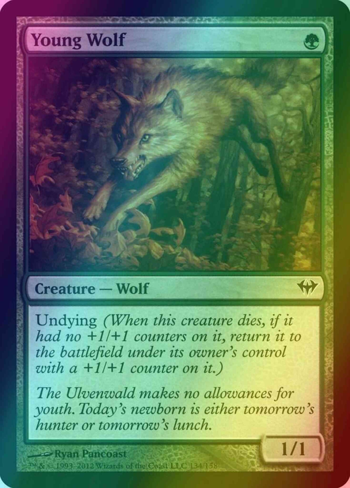 Young Wolf [134] [Dark Ascension] [Foil]