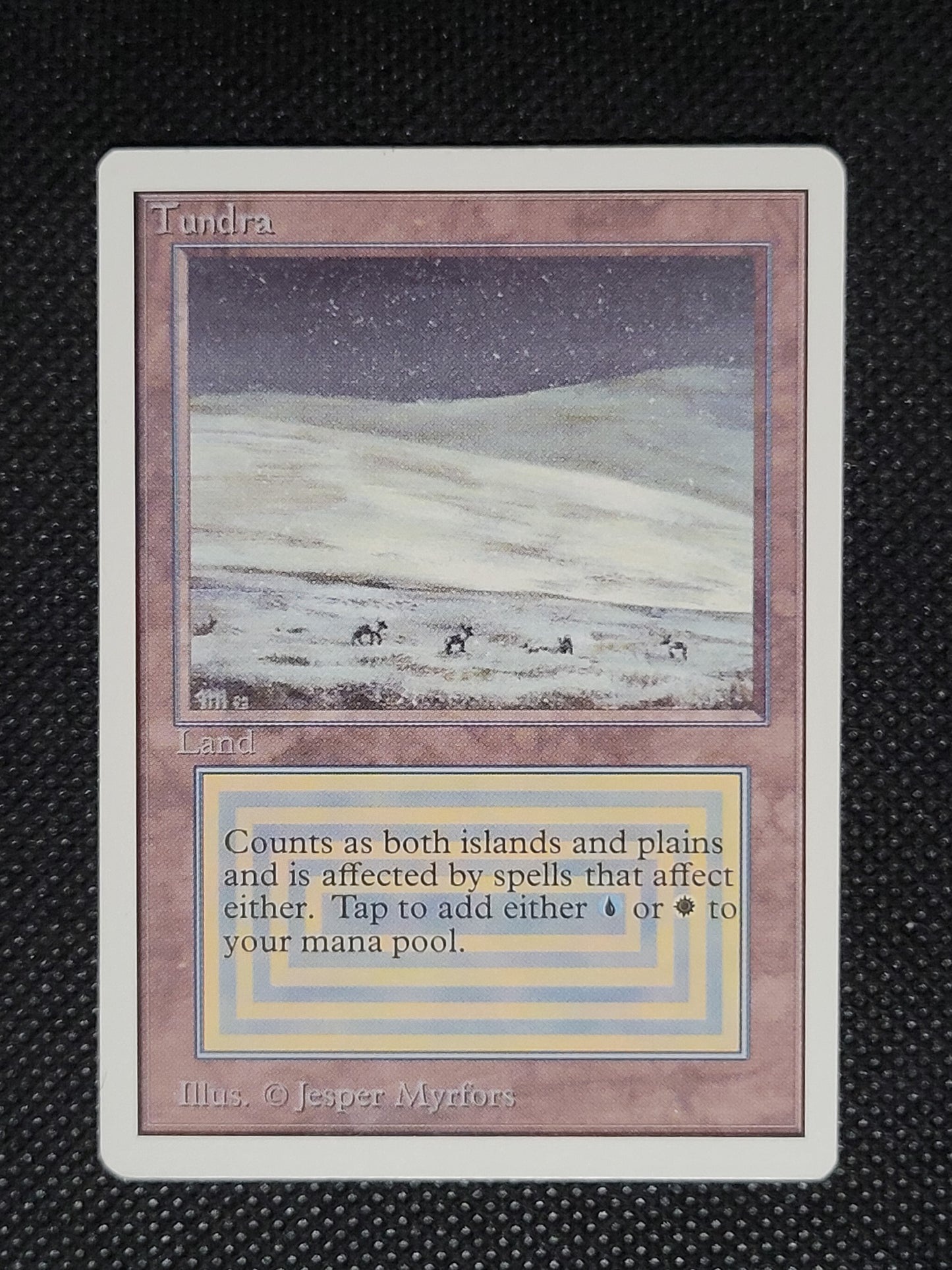 Tundra — ID 19655