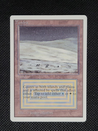 Tundra — ID 19655