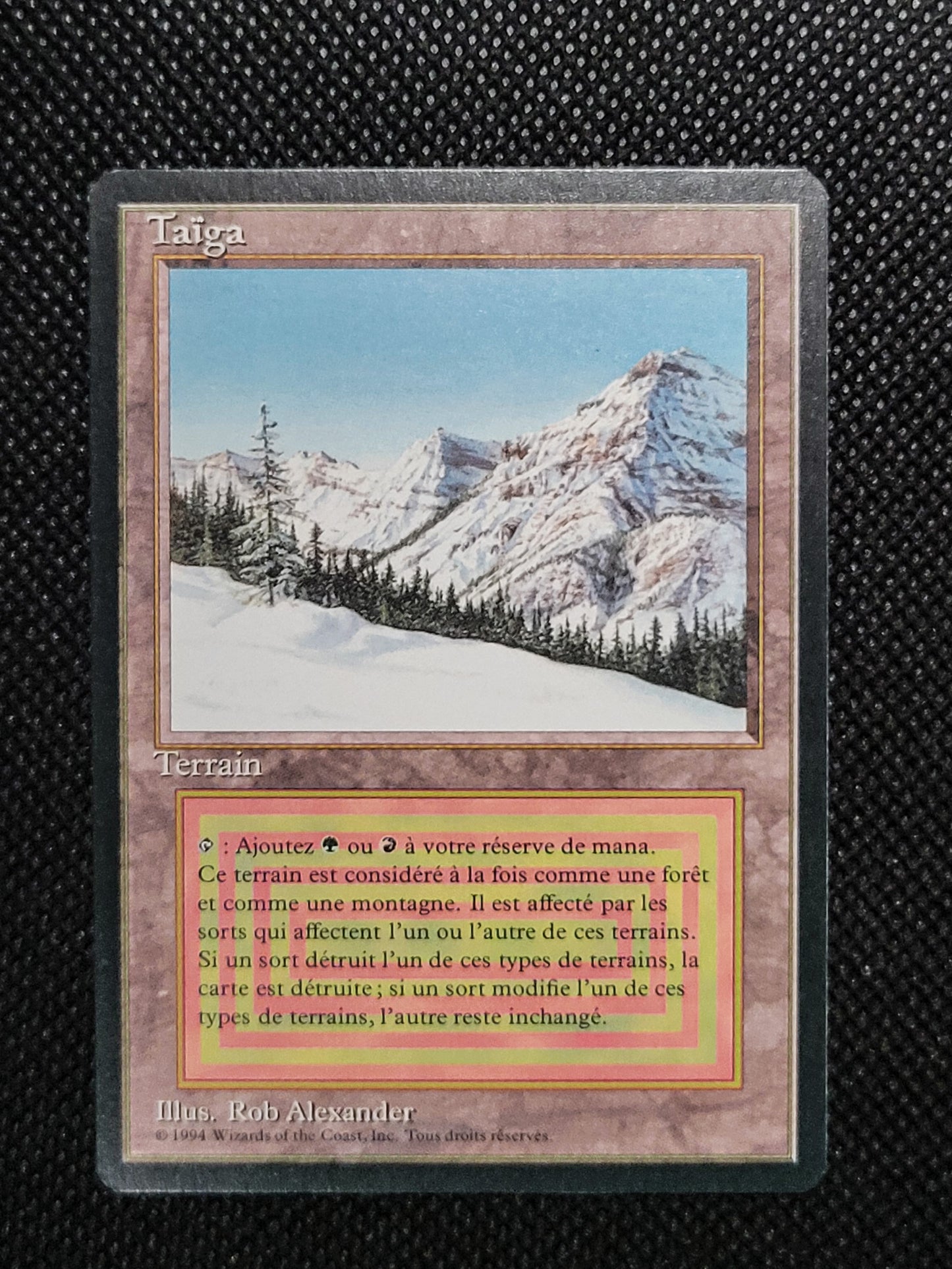 Taiga — French — ID 16963