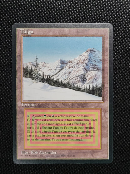 Taiga — French — ID 16963