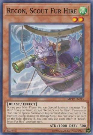 Recon, Scout Fur Hire - MP19-EN245 - Common - Unlimited
