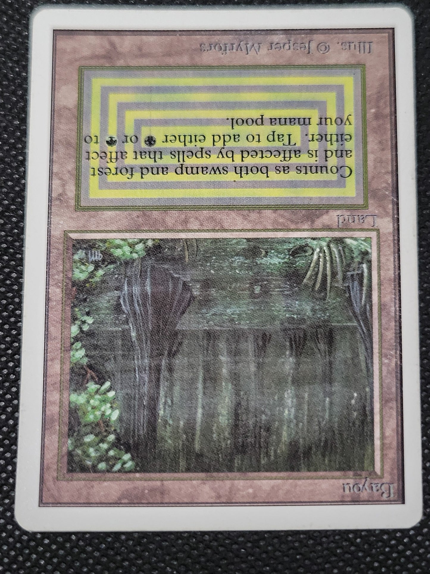Bayou — ID 17005