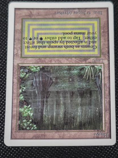 Bayou — ID 17005
