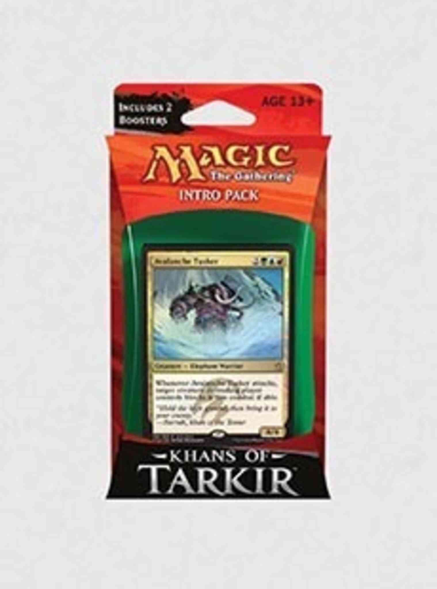 MSP-INTR-KTK-EN-Temur_Avalanche