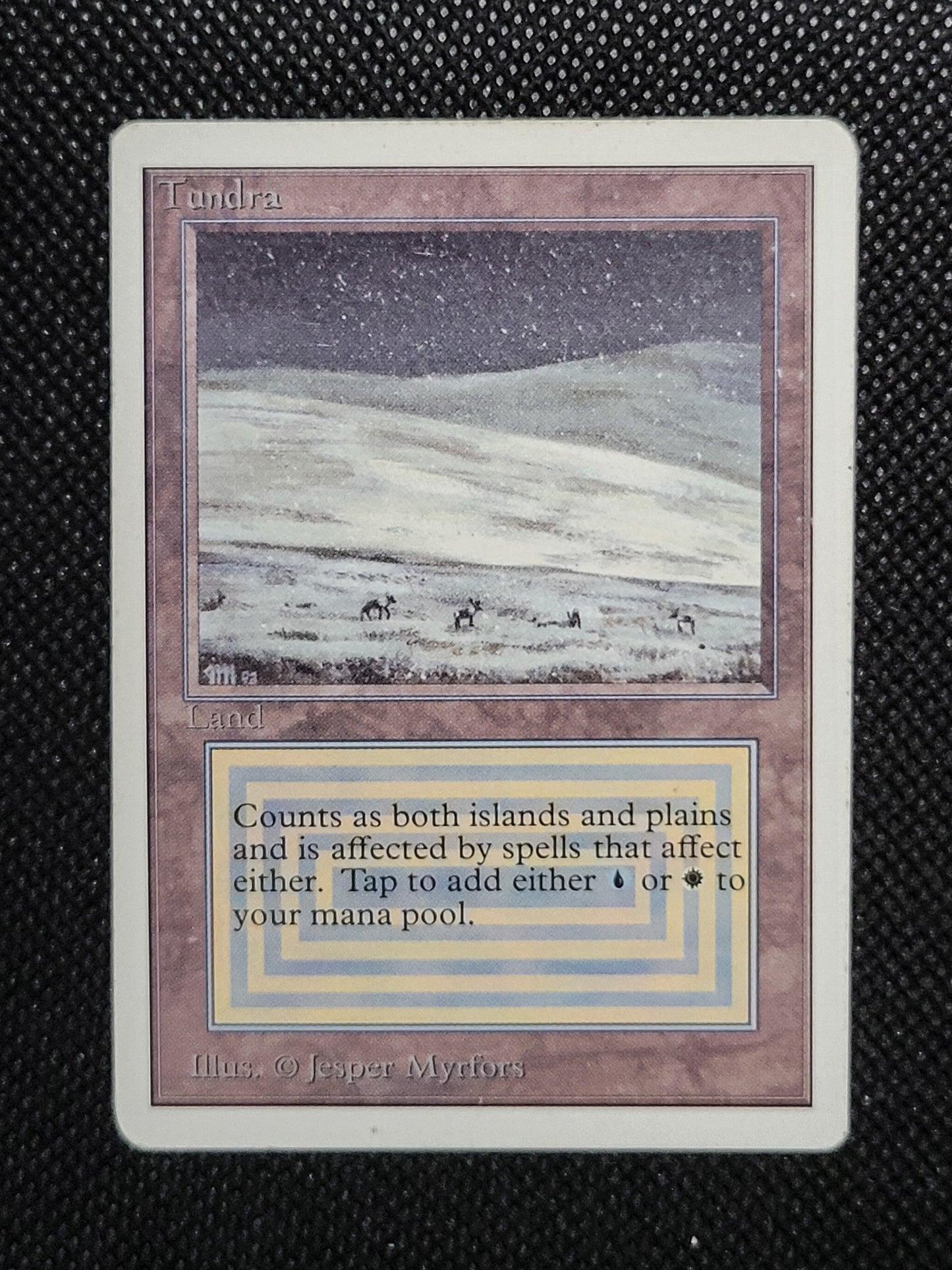 Tundra — ID 16974