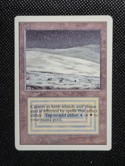 Tundra — ID 16974