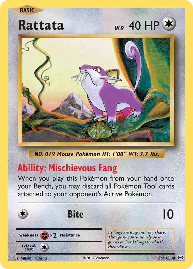 Rattata - 66/108 - Common [xy12-66] [Reverse Holo]