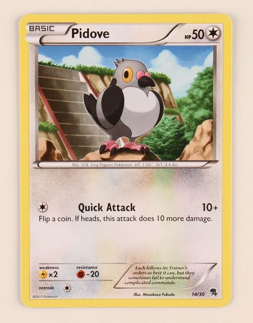 Pidove - 14/30 - [BW Trainer Kit (Zoroark)] [Non-Holo]