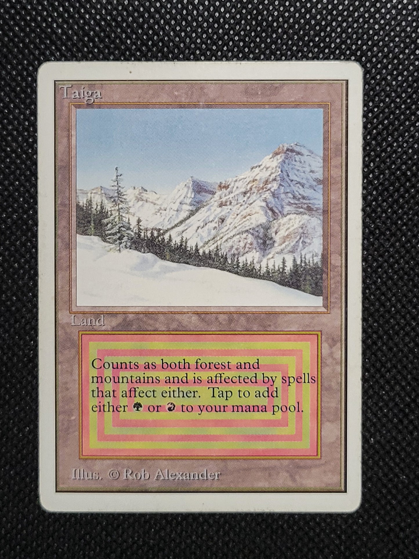 Taiga — ID 16961