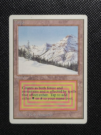 Taiga — ID 16961