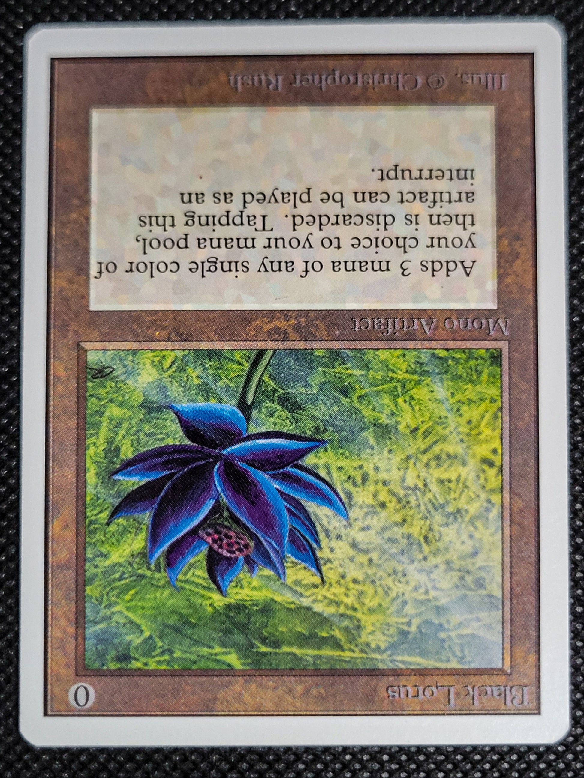 SIN-SCAN-16557_d