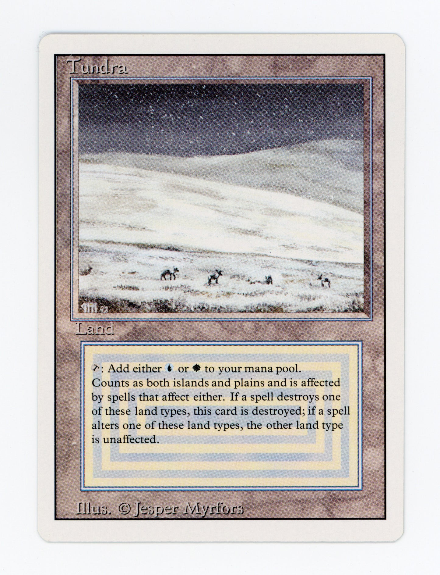 Tundra — ID 18845
