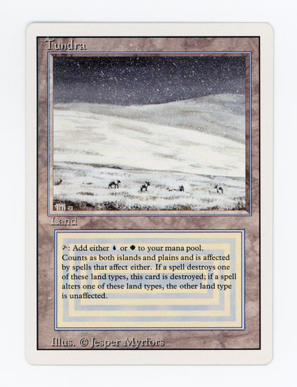 Tundra — ID 18845
