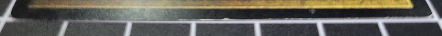 SIN-SCAN-15743_i