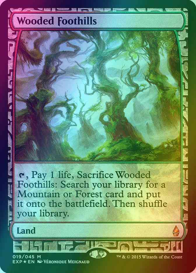 Wooded Foothills [19] [Zendikar Expeditions] [Foil]