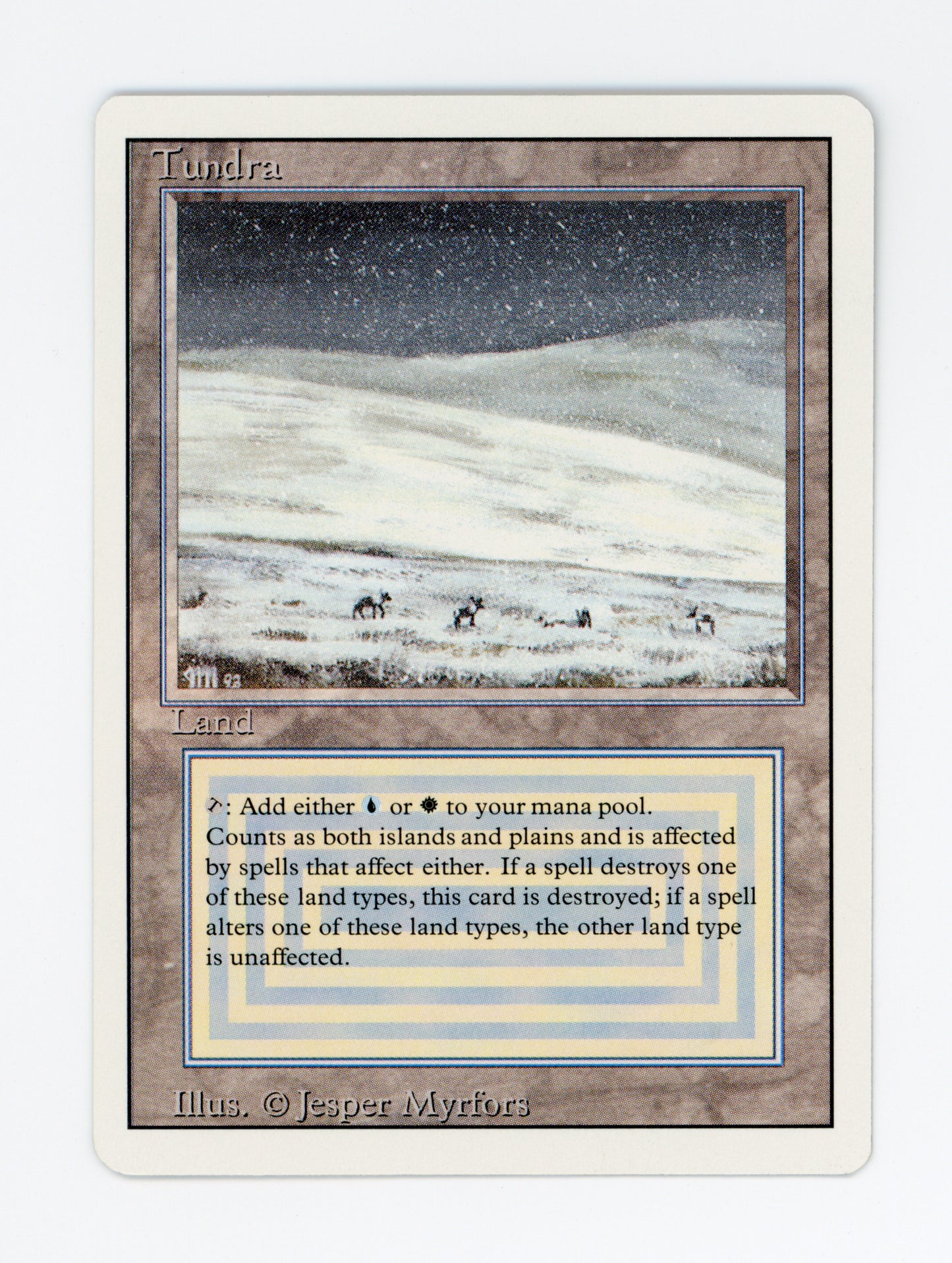Tundra — ID 19843