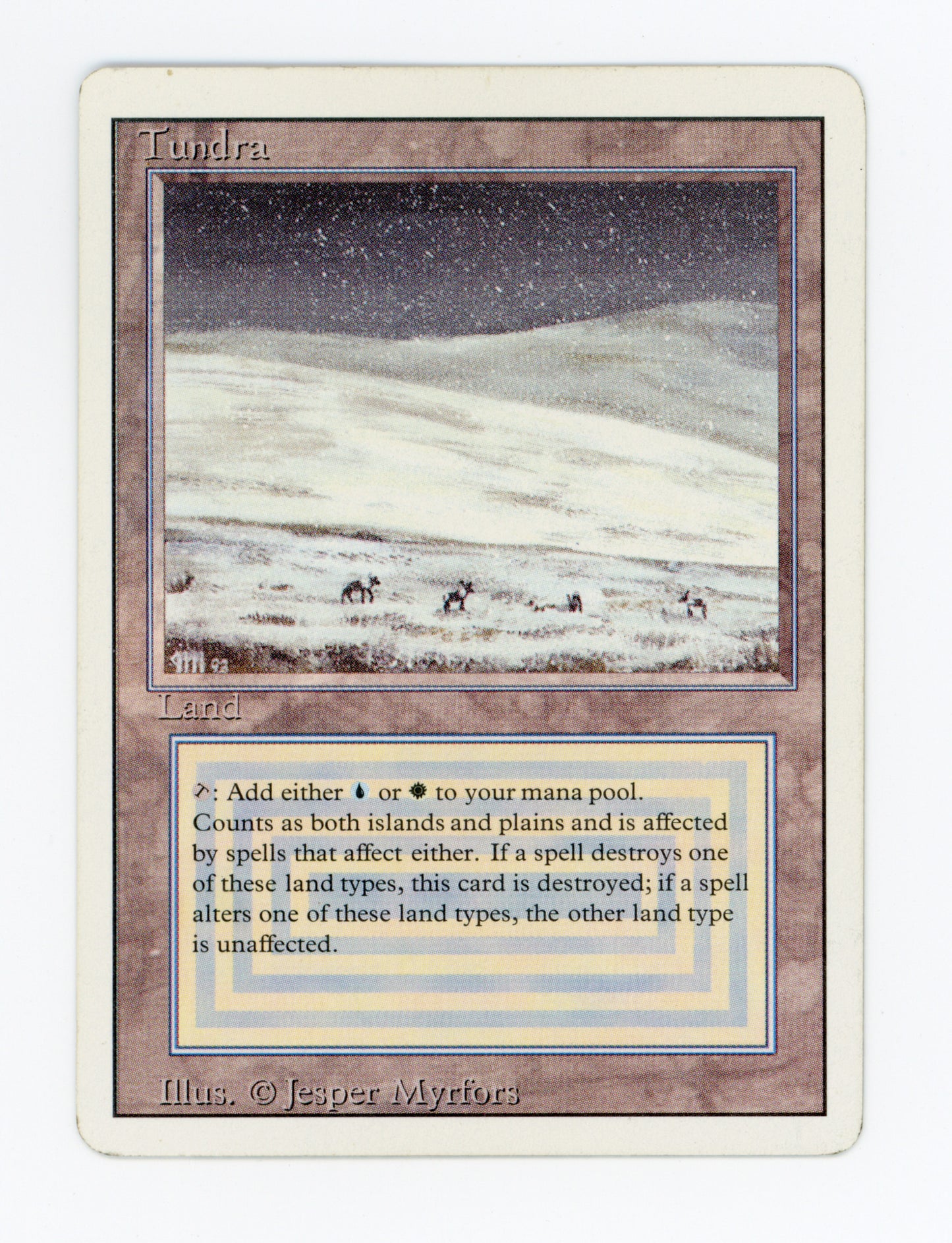 Tundra — ID 19372