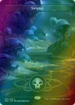 Swamp [237] [Borderless] [Planetary] [Unfinity] [Foil]