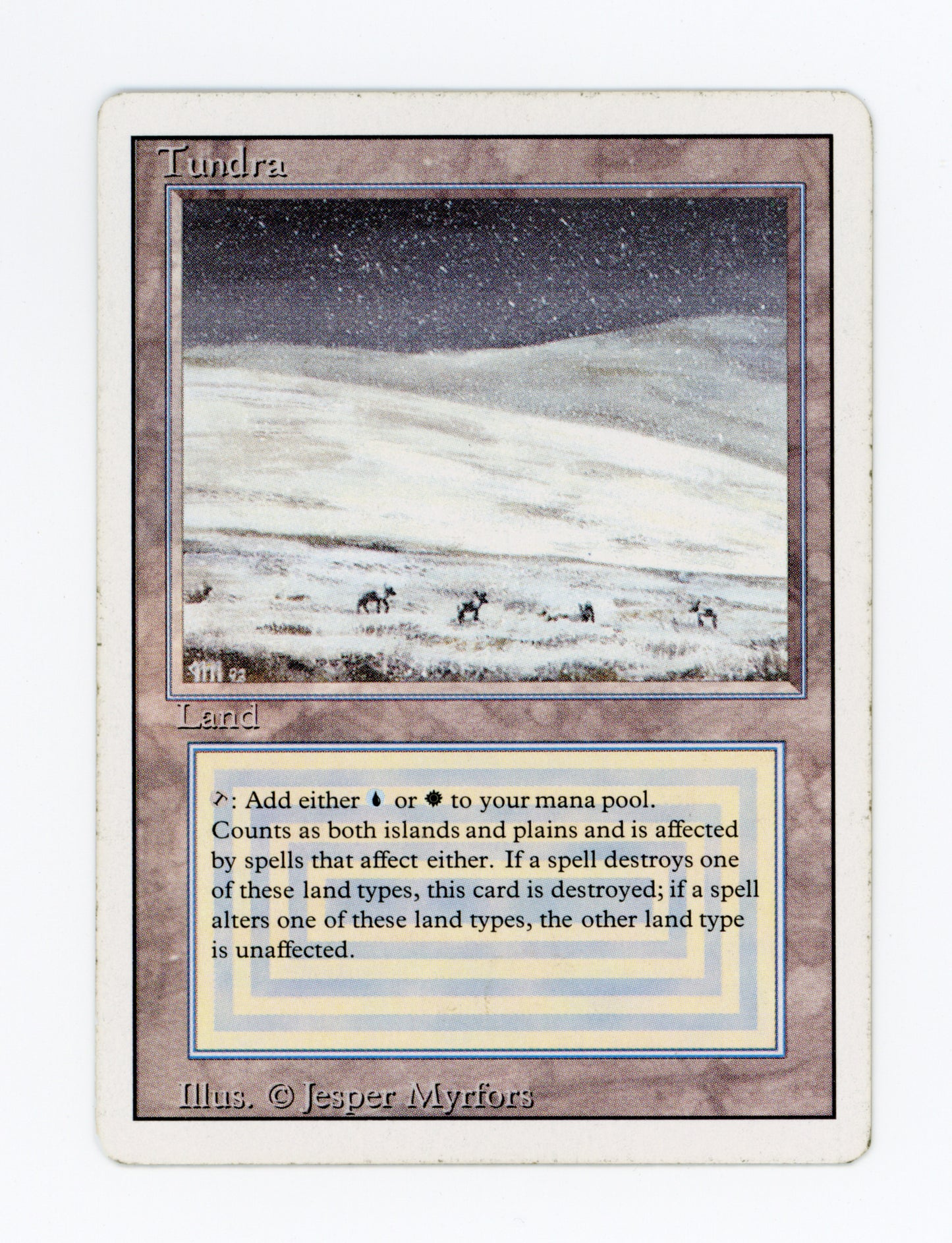 Tundra — ID 19563