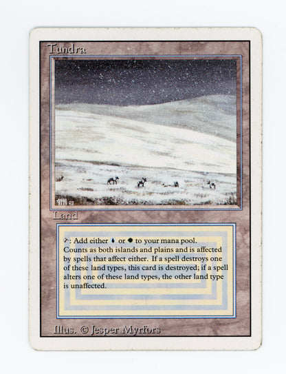 Tundra — ID 19563