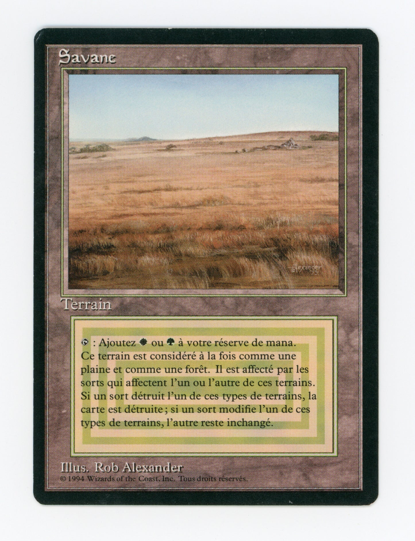 Savannah — French — ID 18642