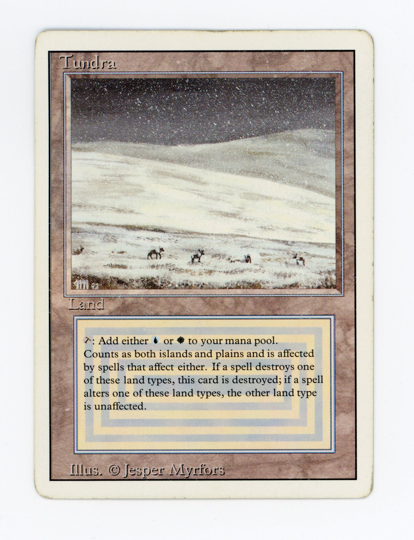 Tundra — ID 20032
