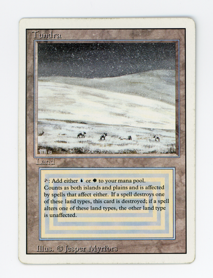 SIN-SCAN-16343