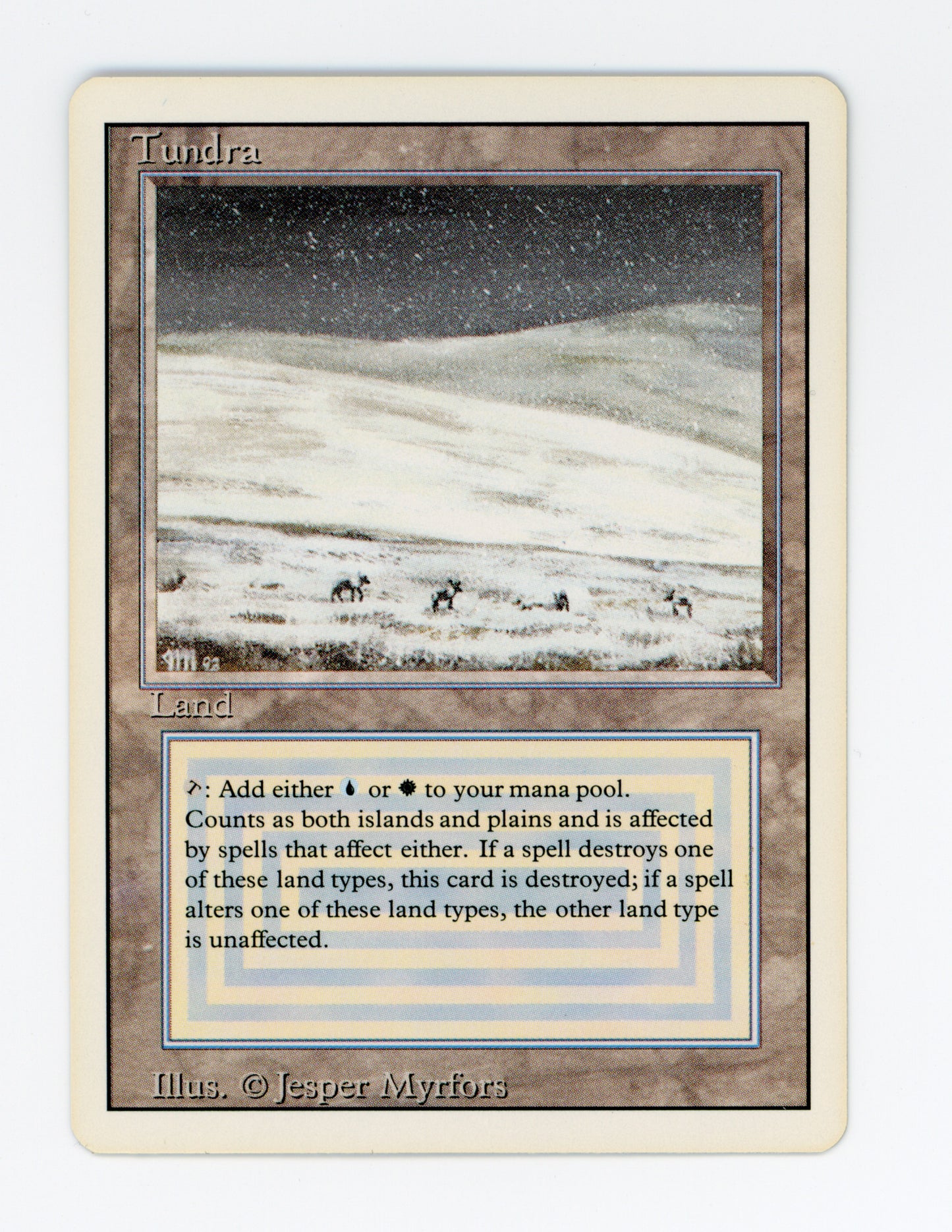 Tundra — ID 19374
