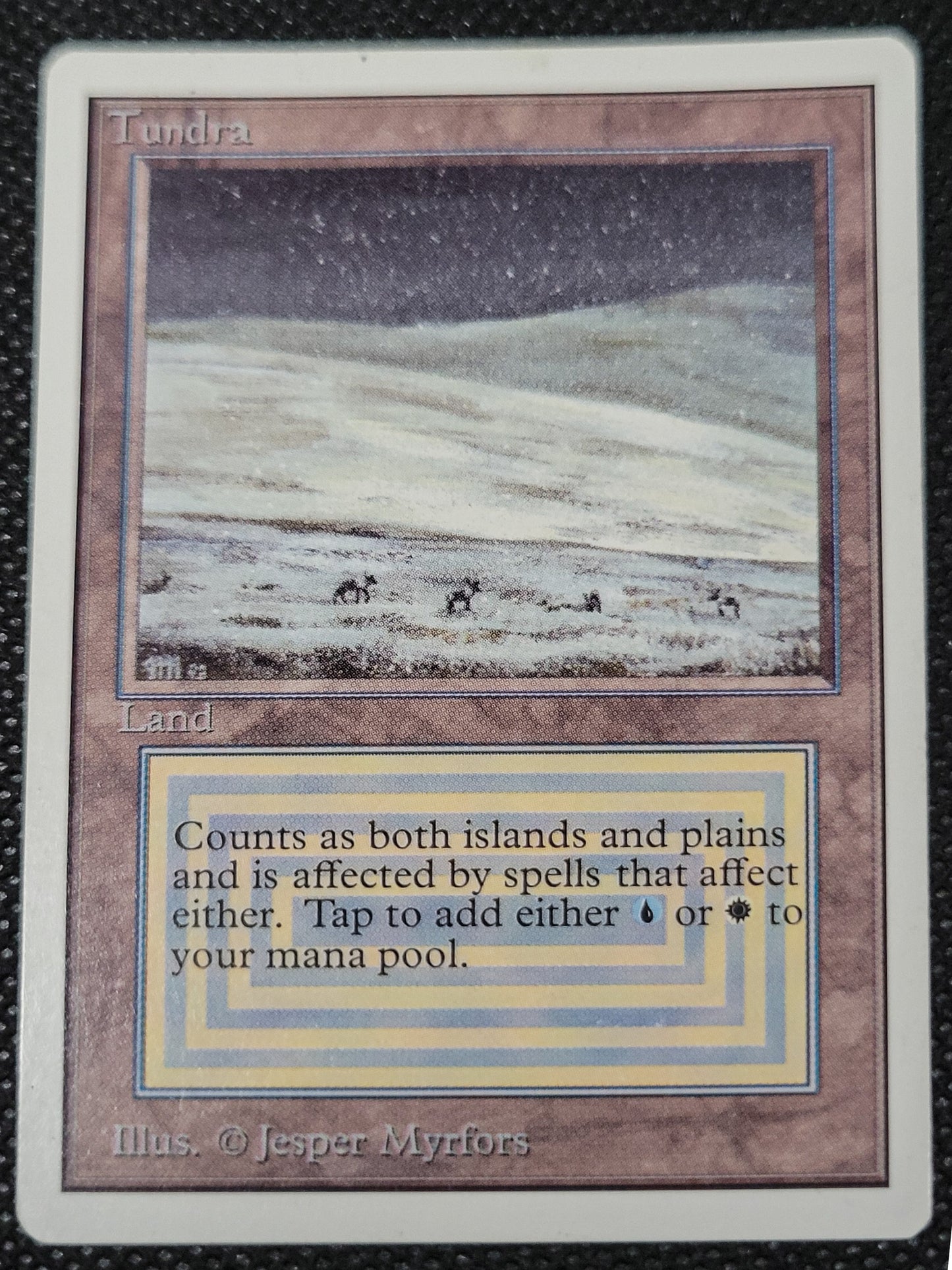Tundra — ID 16973