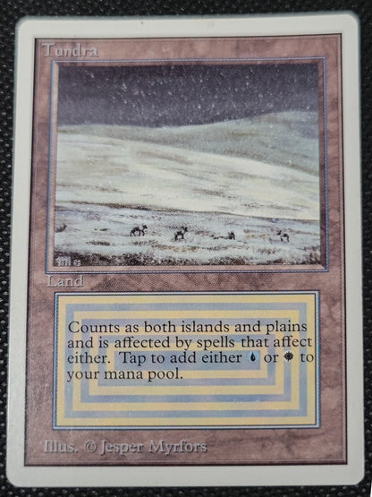 Tundra — ID 16973