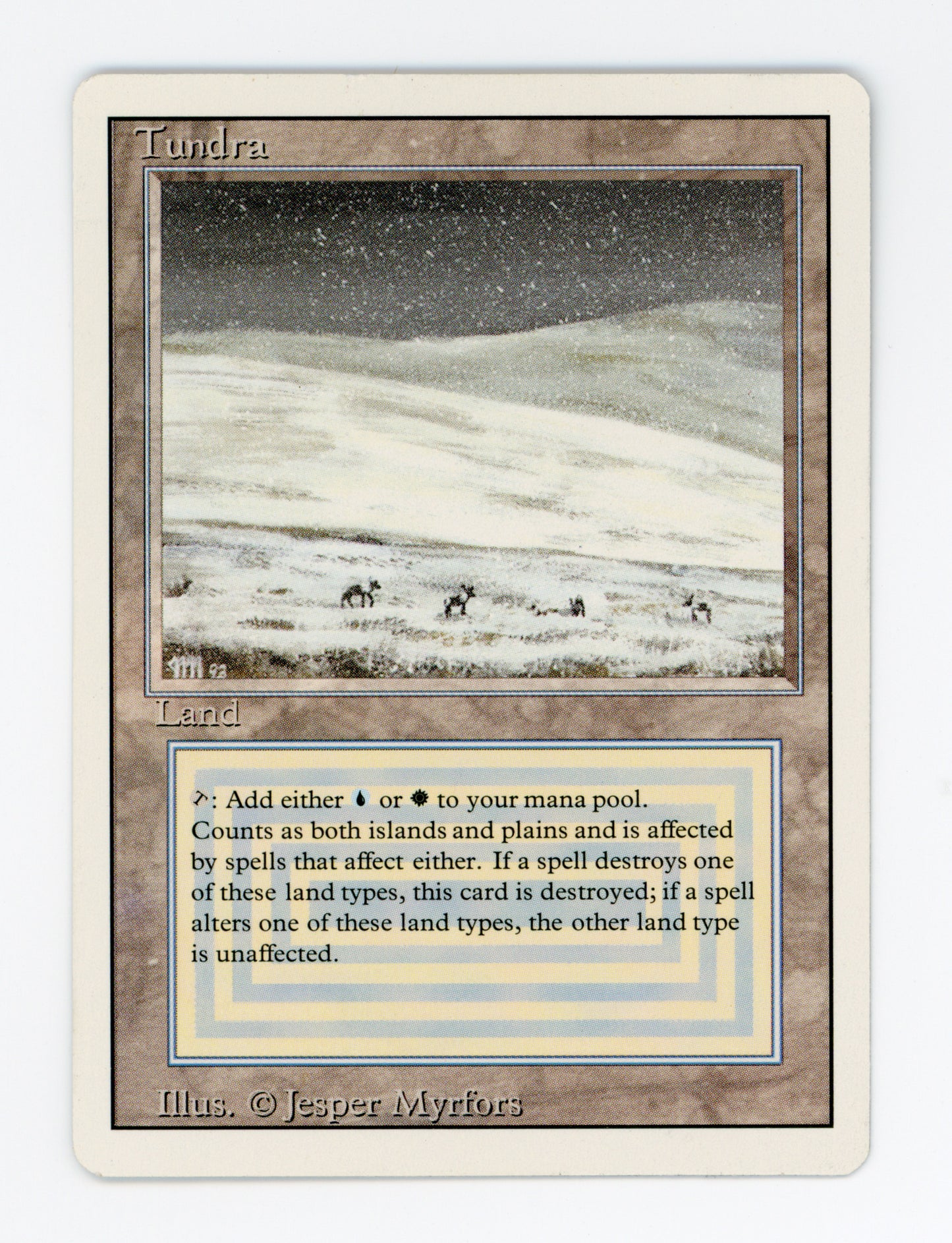 Tundra — ID 17528