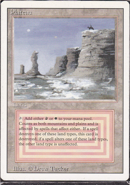 SIN-SCAN-12980